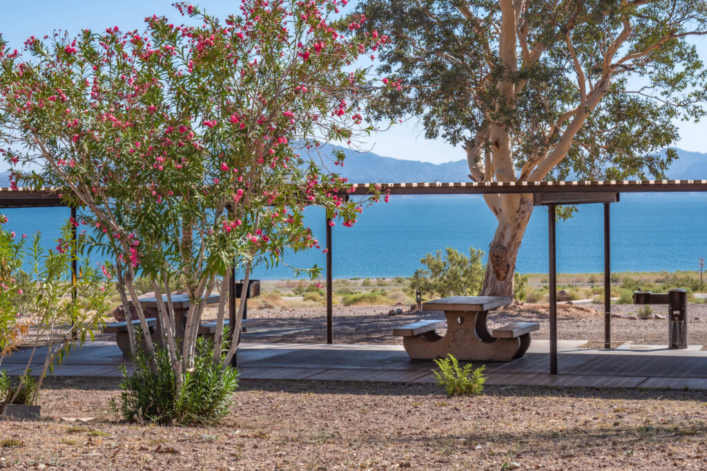 Boulder Beach Picnic Area , lake Mead