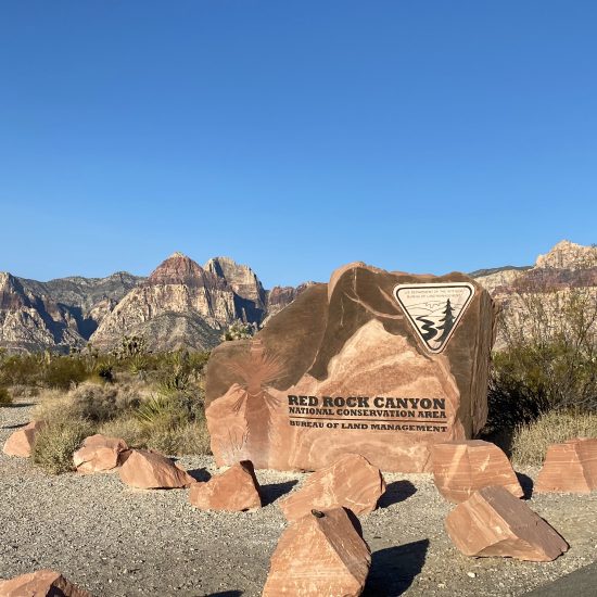 Red Rock Canyon National Conservation Area, Mountain Springs, NV